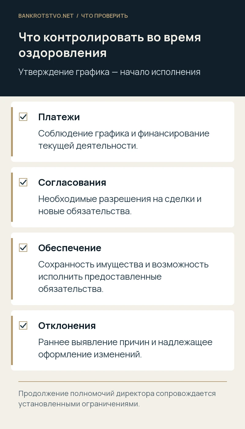Что контролировать во время оздоровления. Платежи: Соблюдение графика и финансирование текущей деятельности.; Согласования: Необходимые разрешения на сделки и новые обязательства.; Обеспечение: Сохранность имущества и возможность исполнить предоставленные обязательства.; Отклонения: Раннее выявление причин и надлежащее оформление изменений.