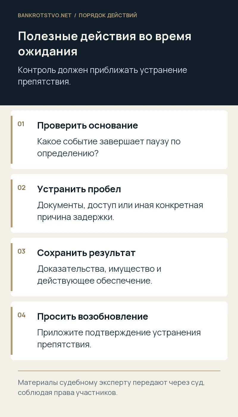 Полезные действия во время ожидания. Проверить основание: Какое событие завершает паузу по определению?; Устранить пробел: Документы, доступ или иная конкретная причина задержки.; Сохранить результат: Доказательства, имущество и действующее обеспечение.; Просить возобновление: Приложите подтверждение устранения препятствия.